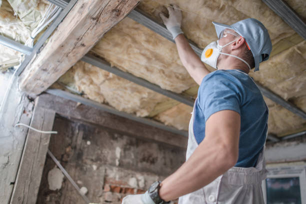 Best Commercial Insulation in Woodward, OK
